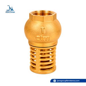 Válvula Check Canastilla o Check de Pie CIM95 – CIM Valve